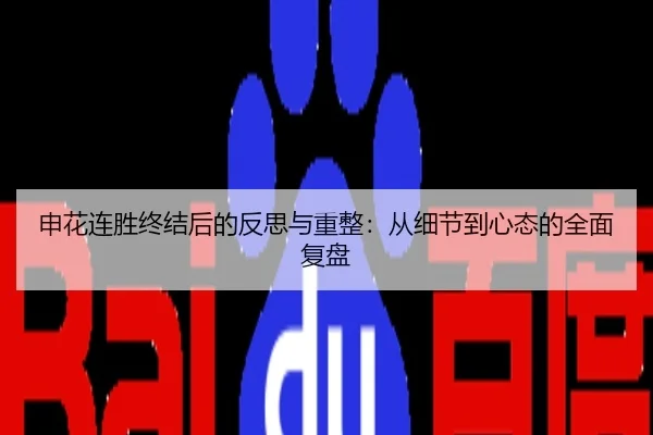 申花连胜终结后的反思与重整：从细节到心态的全面复盘