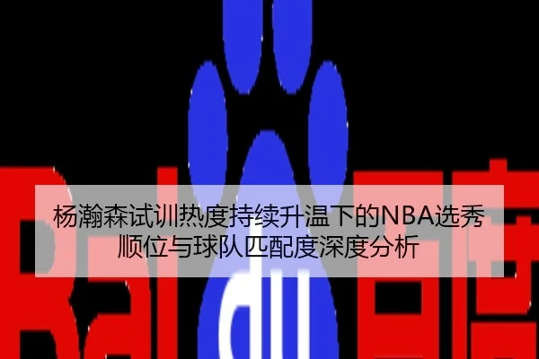 杨瀚森试训热度持续升温下的NBA选秀顺位与球队匹配度深度分析
